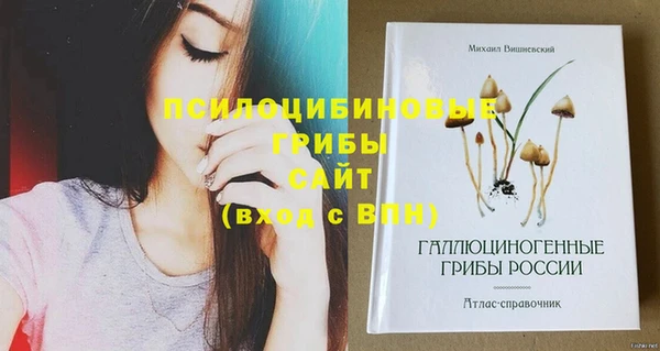 прущие грибы Бикин
