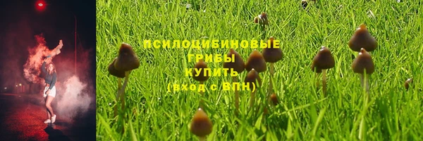 наркотики Алексин