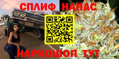 гидропоника Пушкино