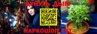 гидропоника Пушкино