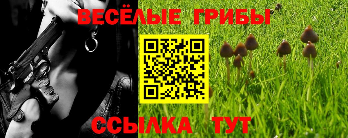 Псилоцибиновые грибы GOLDEN TEACHER  Галлюциногенные грибы ЛСД  Вход с VPN  Узловая 