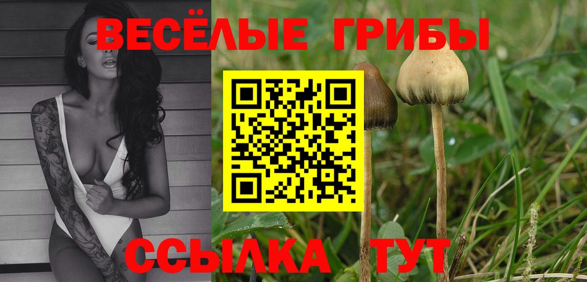 Галлюциногенные грибы Cubensis Узловая